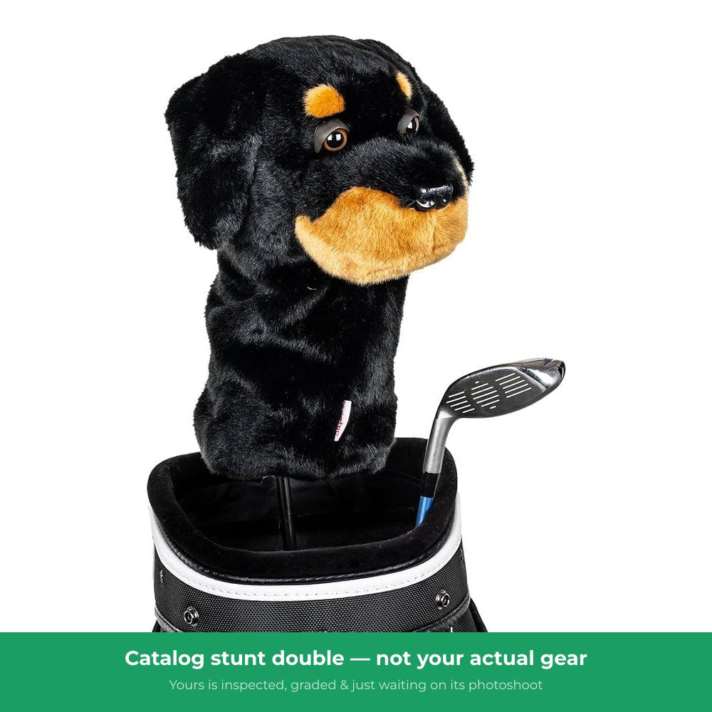 ReGolf Headcover — representative photo