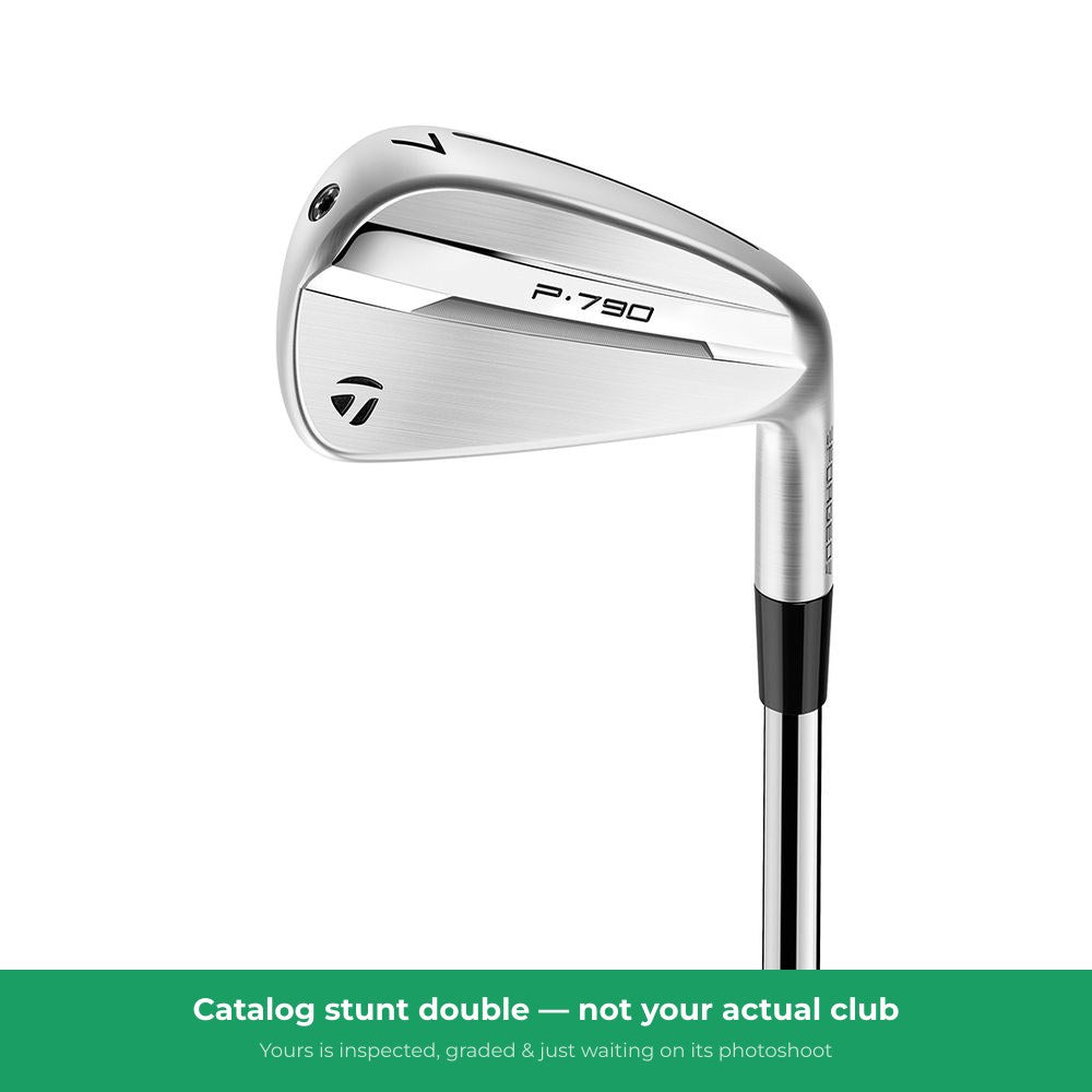 TaylorMade P790 5~P RH S Steel — representative photo