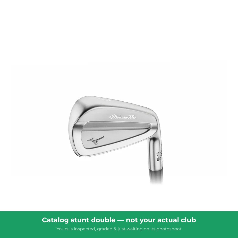 Mizuno EX-801 Iron Set 3-S — representative photo