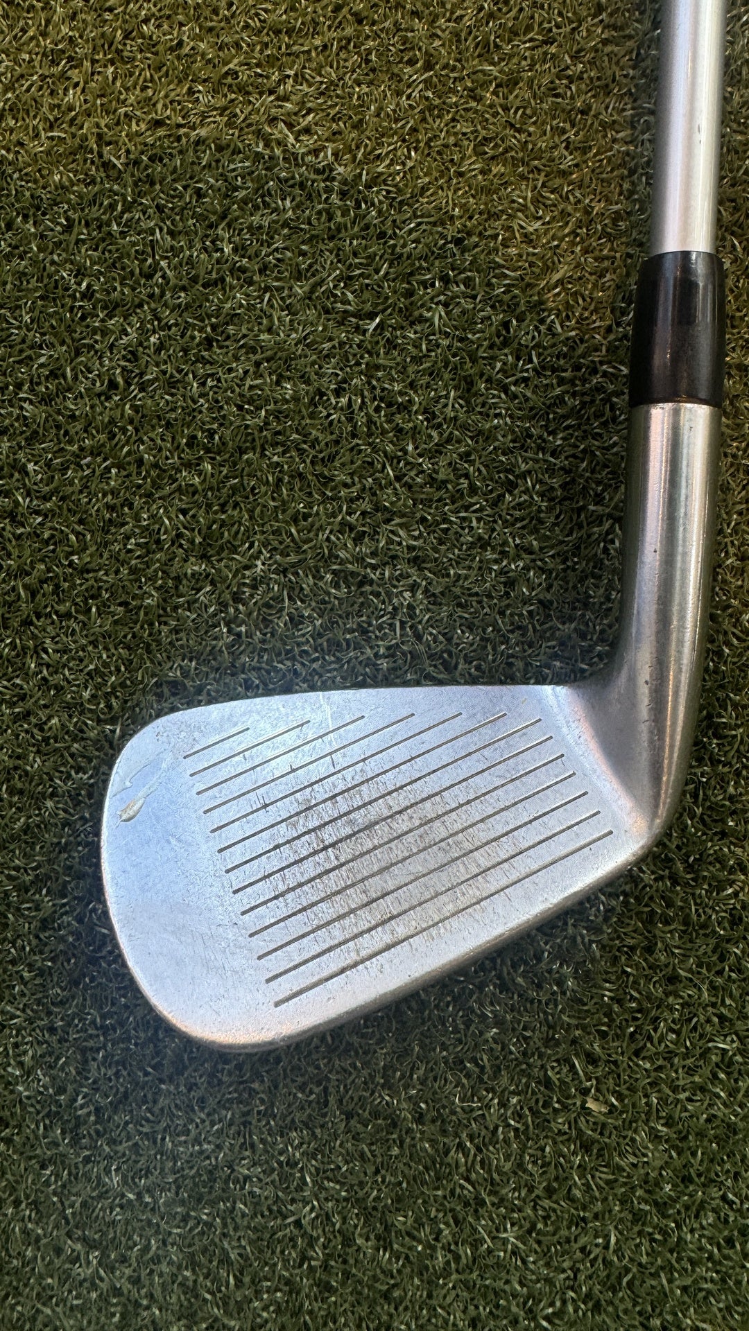KZG Tour Evolution 4~P