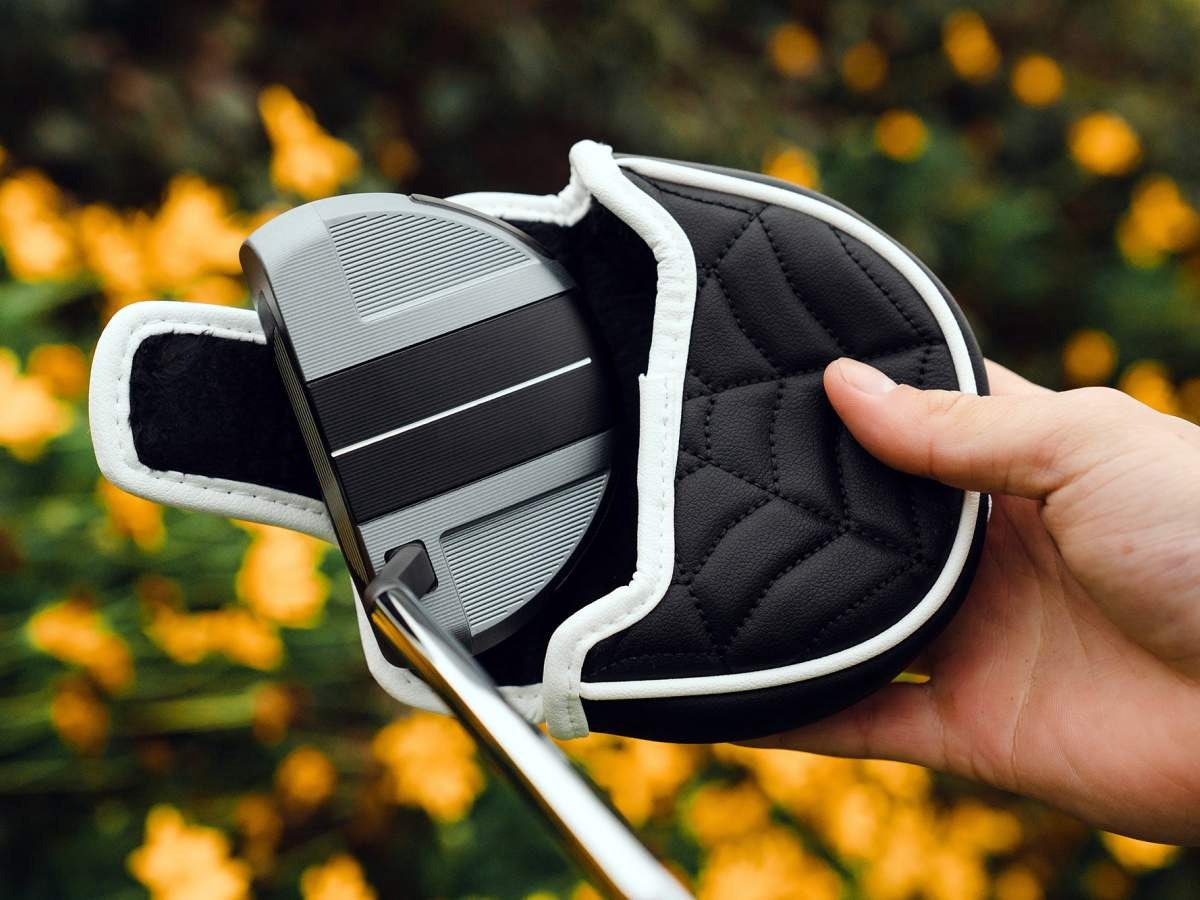 TaylorMade Spider GT RollBack RH Silver